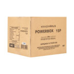 Зарядные устройства FoxWeld Зарядное устройство KVAZARRUS PowerBox 15P купить в России