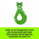 Крюк самозапирающийся с вилочным соединением HITCH, 7/8-Т8 кл., 2 T