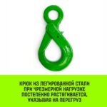 Крюк самозапирающийся с проушиной HITCH, 10-Т8 кл, 3.2 Т